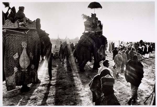 India. Allahabad, Kumbh Mela festival (elephants)