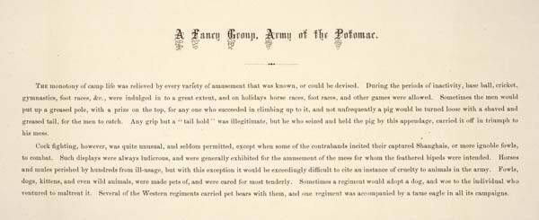 A Fancy Group, Army of the Potomac (accompanying text for A Fancy Group, in Front of Petersburg)