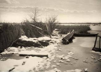 The First Frost, from "Life and Landscape on the Norfolk Broads"