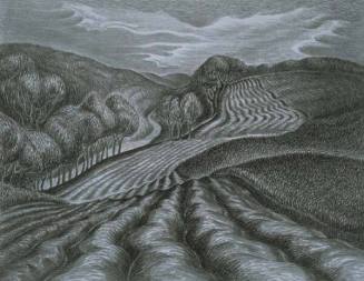 Ploughed Fields