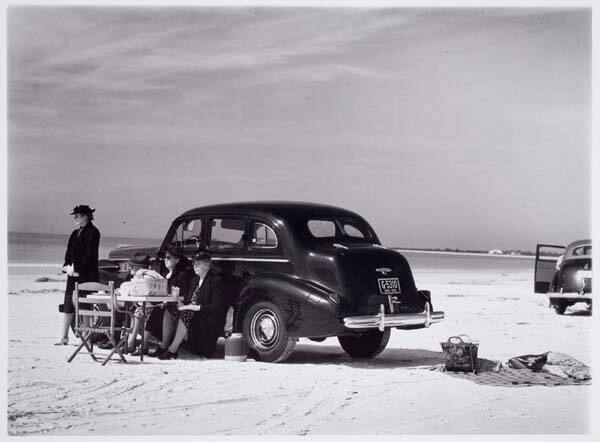 Winter Visitors, Sarasota Beach, Florida