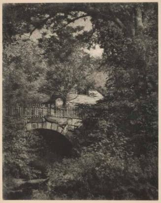 Untitled (Bridge and Trees)