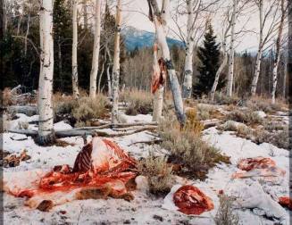 Elk Quartered and Boned near Milky Creek, White Cloud Mountains, Idaho, from the series "River of No Return"