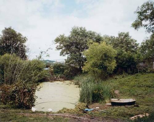 The Pond at Upton Pyne, July 1996/2006