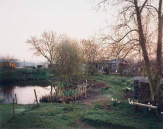 The Pond at Upton Pyne, March 2000/2006