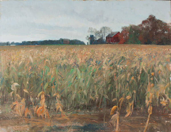 Untitled (Cornfield)