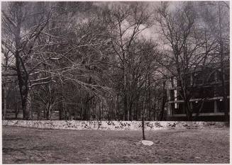 Robert Irwin's "Untitled" (filgreed steel line for Wellesley College), from the series "Robert Irwin Sitework"