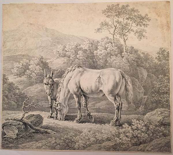 A Horse and a Donkey in a Pasture