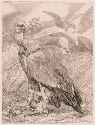 Vulture I