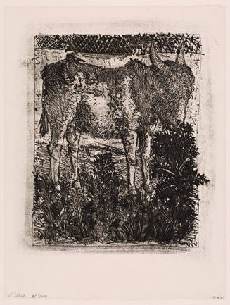 L'Ane (Donkey), from "Buffon's Histoire Naturelle"