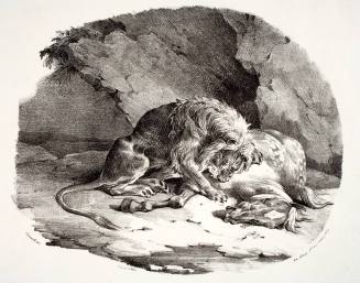 Cheval Dévoré par un Lion