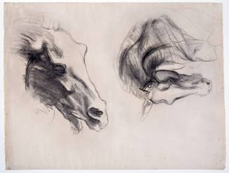 Two Studies of Horses' Heads