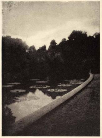 The Garden of Dreams, published in "Camera Work," No. 17, January 1907