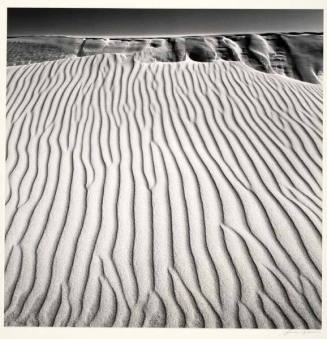 Dunes, Oceano, California