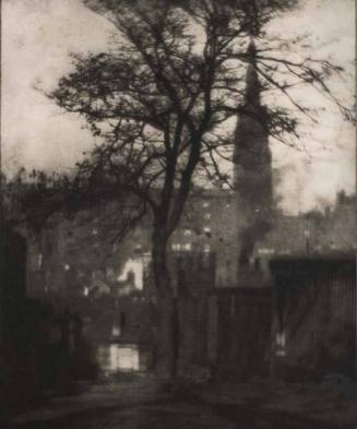 A Tree in Greyfriars Churchyard, Edinburgh, plate 12