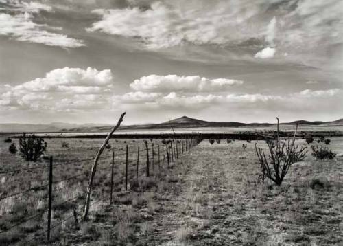 Fence, Tetilla Peak, New Mexico