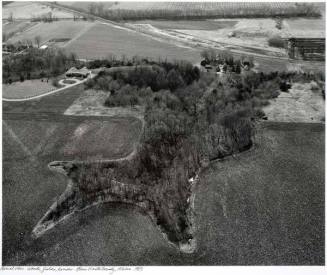 Aerial View: Woods, Fields, Houses, Blue Earth County, Minn.