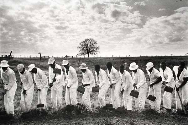 The Line, Ferguson Unit, Texas, from the series "Conversations with the Dead," from the portfolio "Danny Lyon"