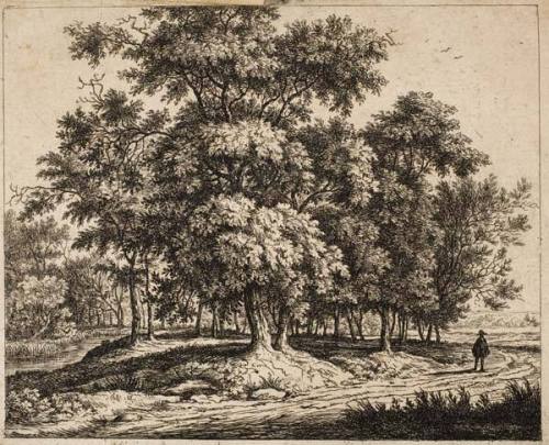 Landscape with Trees and Figure