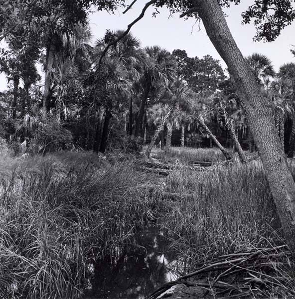 Ebo Landing, from the series "Sea Islands"