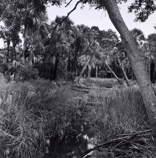 Ebo Landing, from the series "Sea Island"