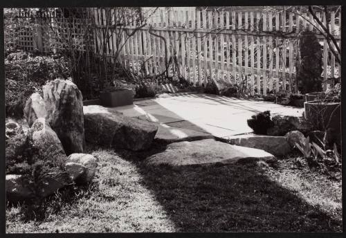 Minor White’s garden, Arlington, Mass.