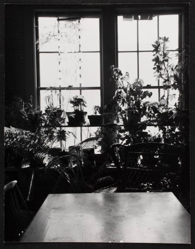 Minor White’s sun porch, Arlington, Mass.