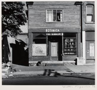 Botanica Casa Guadalupe, from the series "Lower West Side"