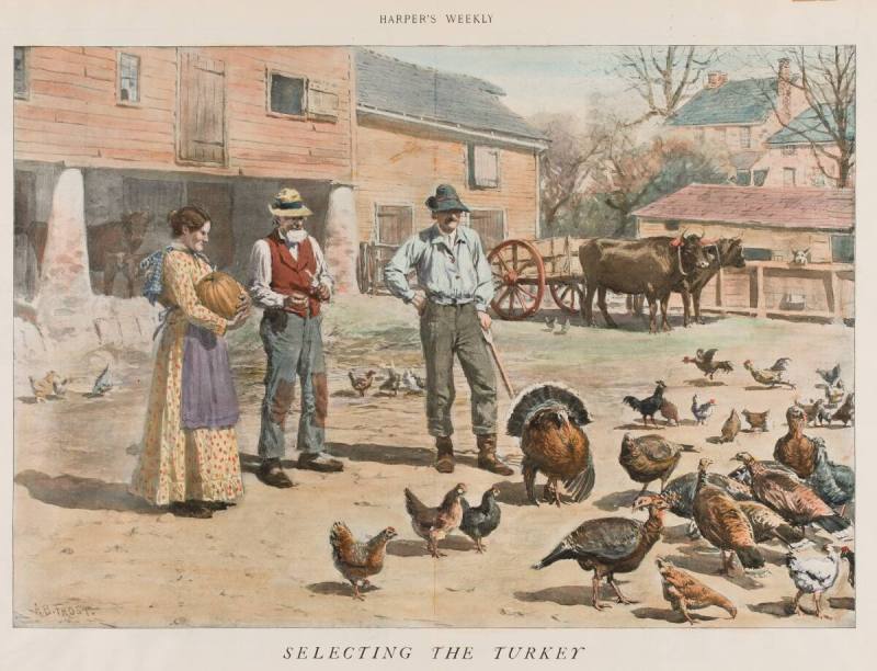 Selecting the Turkey
