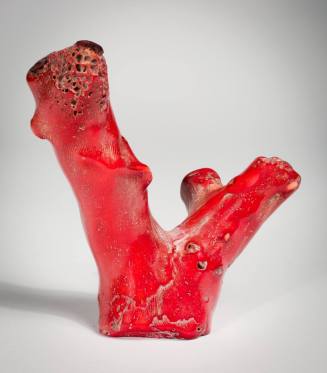 Scholar's Rock: Red Coral Specimen