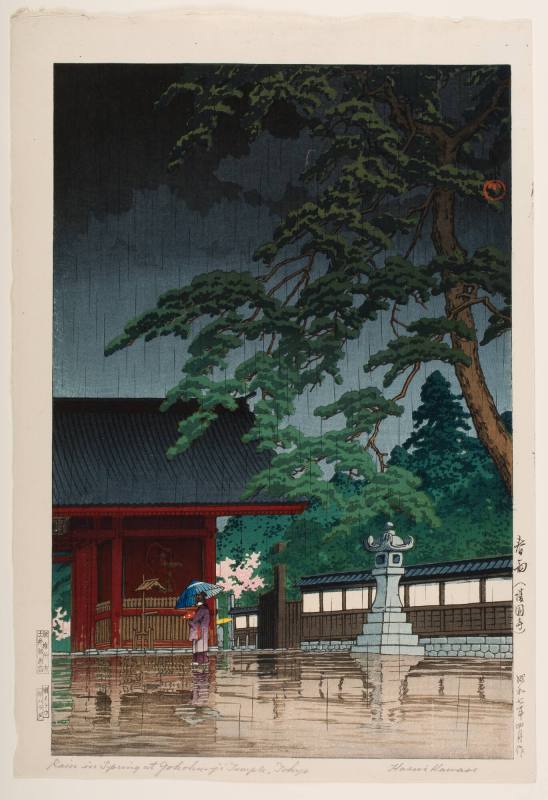 Spring Rain At The Gokoku Temple