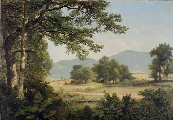 Catskill Meadows in Summer