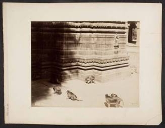 Feeding the Monkey in the Monkey's Temple, Benares, from "Travel Album"