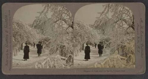 Niagara--A Path Amid the Snows, Prospect Park