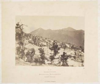 Summit of Wahsatch Mts, from the series "Geological Exploration of the Fortieth Parallel"