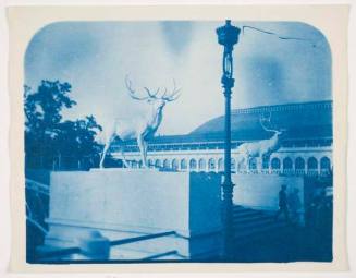 Statues of Elk, from the series of the Chicago World's Fair, 1893