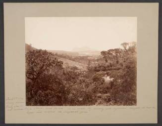 The Highlands between Kandy and Nuwara Eliya, Sri Lanka, Nov. 23, 1894