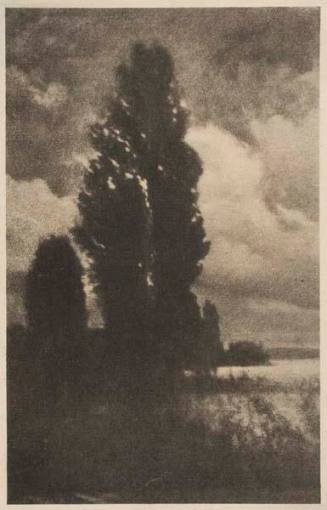 Poplars and Clouds, published in "Camera Work," No. 13, January 1906