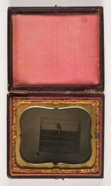 Bird in Cage, leather case