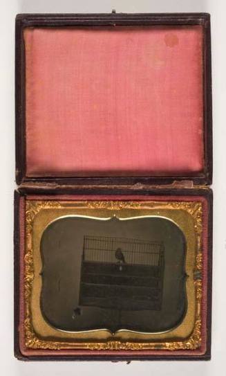 Bird in Cage, leather case