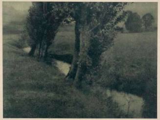 Landscape (trees and brook), published in "Camera Work," No. 33, January 1911