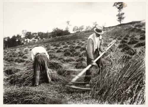 Fauchers, Somme, from the portfolio, "Paris and Environs"