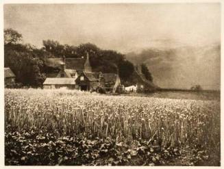 Onion Field, published in "Camera Work," No. 18, April 1907