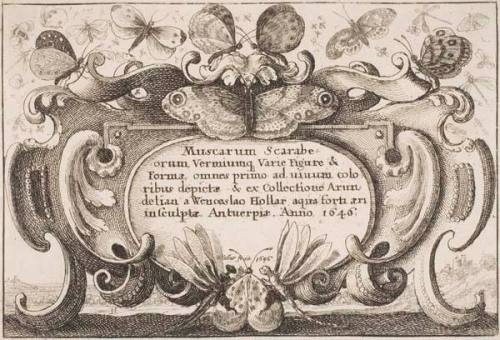 Wenceslaus Hollar