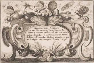 Frontispiece, plate 1 from the series "Muscarum, scarabeorum vermiumque varie figure & formae"