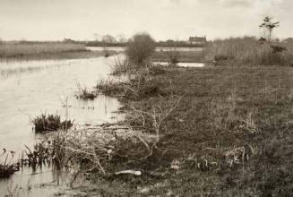 An Autumn Morning, plate XXXVIII from "Life and Landscaping on the Norfolk Broads"